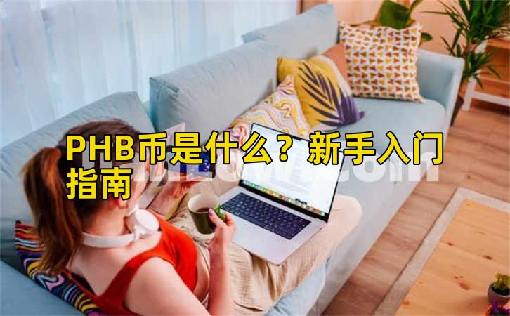 PHB币是什么？新手入门指南插图
