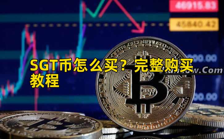 SGT币怎么买？完整购买教程插图