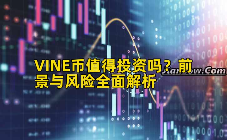 VINE币值得投资吗?前景与风险全面解析插图 VINE币值得投资吗?前景与风险全面解析插图