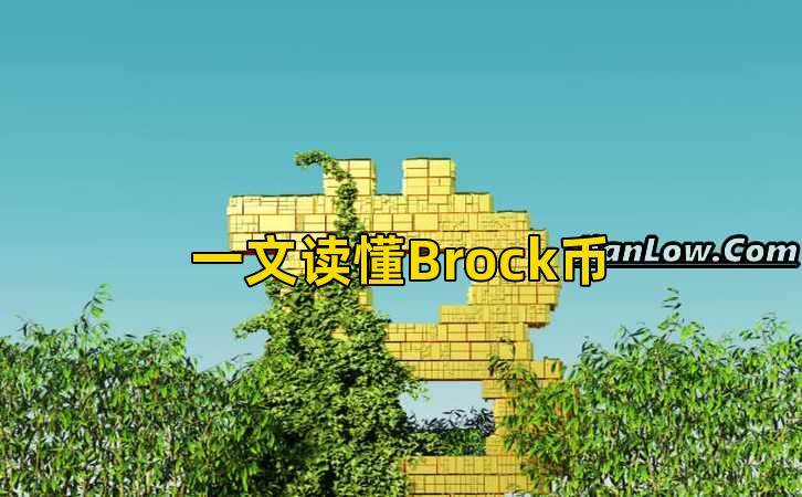一文读懂Brock币插图 一文读懂Brock币插图