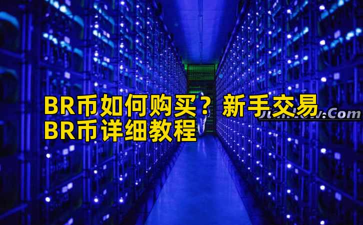 BR币如何购买？新手交易BR币详细教程插图