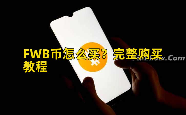 FWB币怎么买？完整购买教程插图