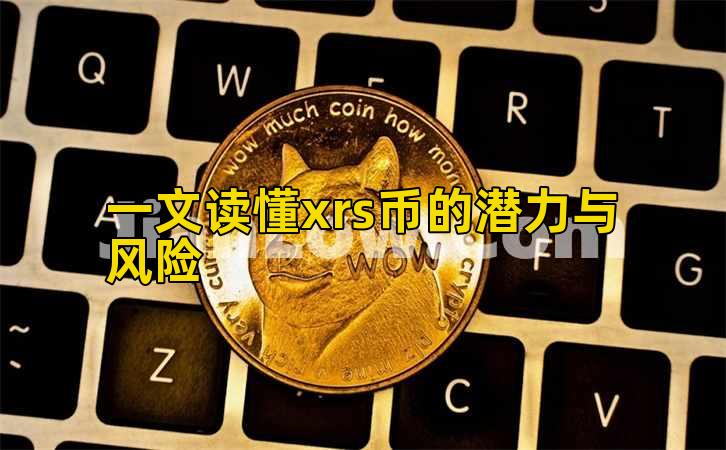 一文读懂xrs币的潜力与风险插图