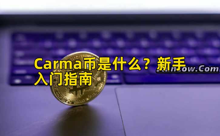 Carma币是什么？新手入门指南插图