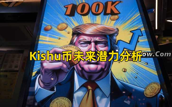Kishu币未来潜力分析插图 Kishu币未来潜力分析插图