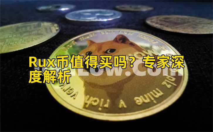 Rux币值得买吗?专家深度解析插图 Rux币值得买吗?专家深度解析插图