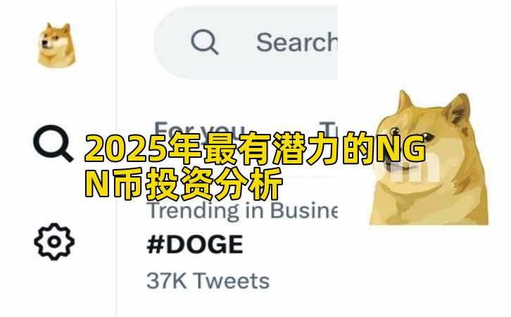 2025年最有潜力的NGN币投资分析插图 2025年最有潜力的NGN币投资分析插图