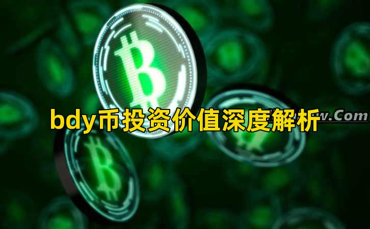 bdy币投资价值深度解析插图