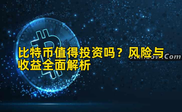 比特币值得投资吗?风险与收益全面解析插图 比特币值得投资吗?风险与收益全面解析插图