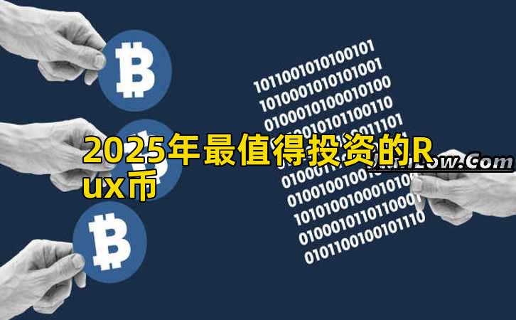 2025年最值得投资的Rux币插图