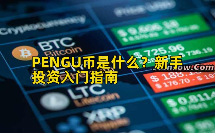 PENGU币是什么?新手投资入门指南插图 PENGU币是什么?新手投资入门指南插图