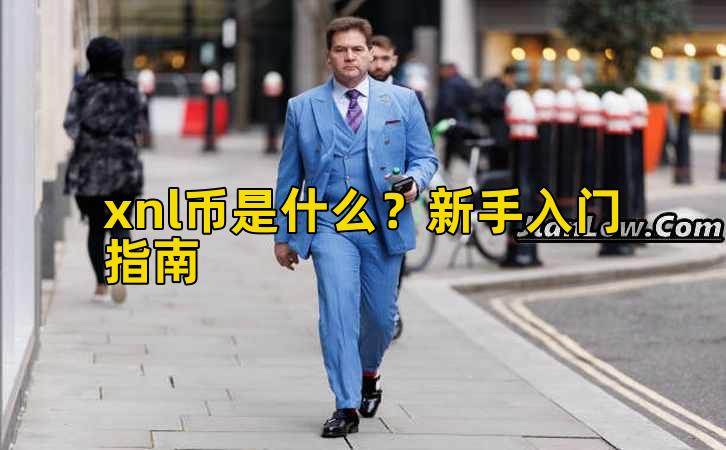 xnl币是什么？新手入门指南插图