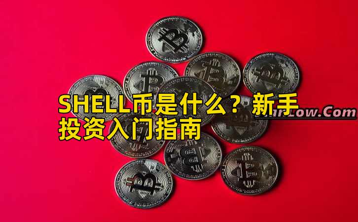 SHELL币是什么?新手投资入门指南插图 SHELL币是什么?新手投资入门指南插图