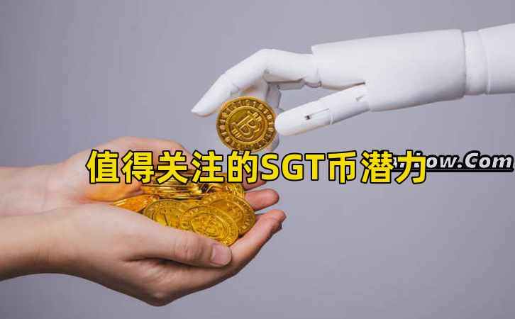 值得关注的SGT币潜力插图 值得关注的SGT币潜力插图