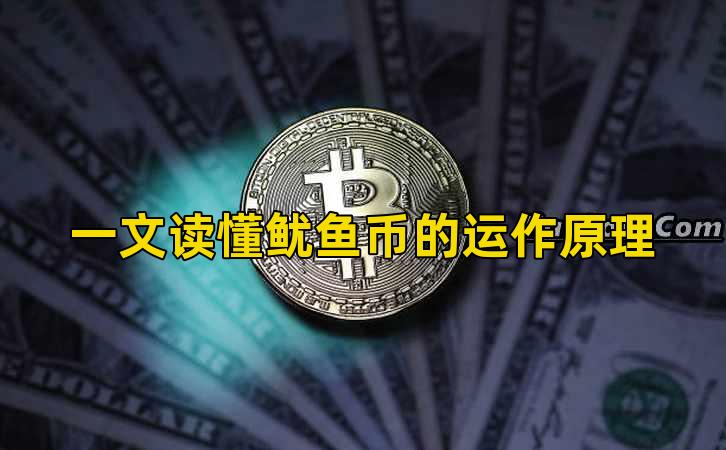 一文读懂鱿鱼币的运作原理插图 一文读懂鱿鱼币的运作原理插图