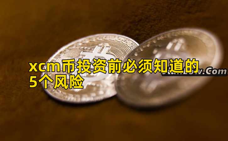 xcm币投资前必须知道的5个风险插图