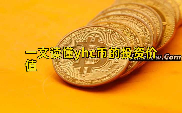 一文读懂yhc币的投资价值插图