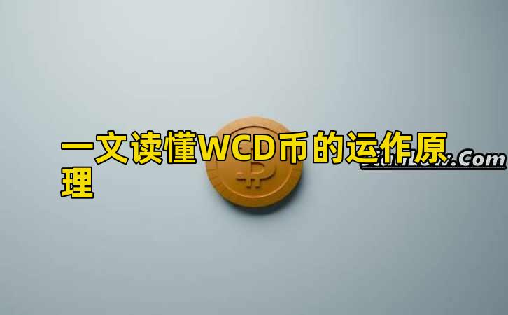 一文读懂WCD币的运作原理插图