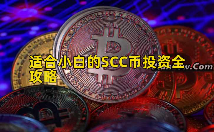 适合小白的SCC币投资全攻略插图 适合小白的SCC币投资全攻略插图