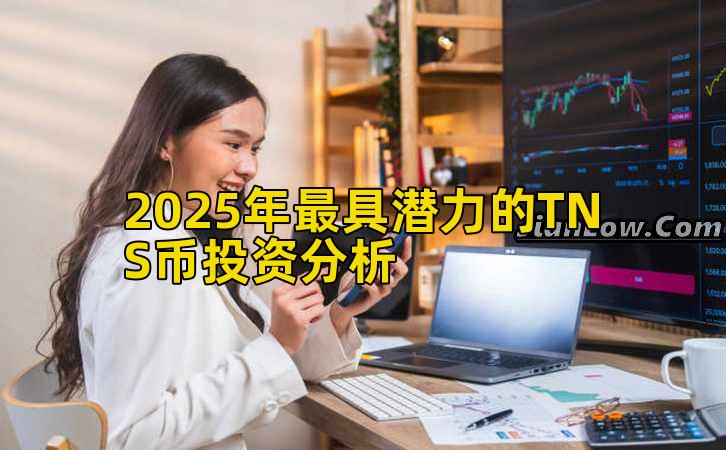 2025年最具潜力的TNS币投资分析插图