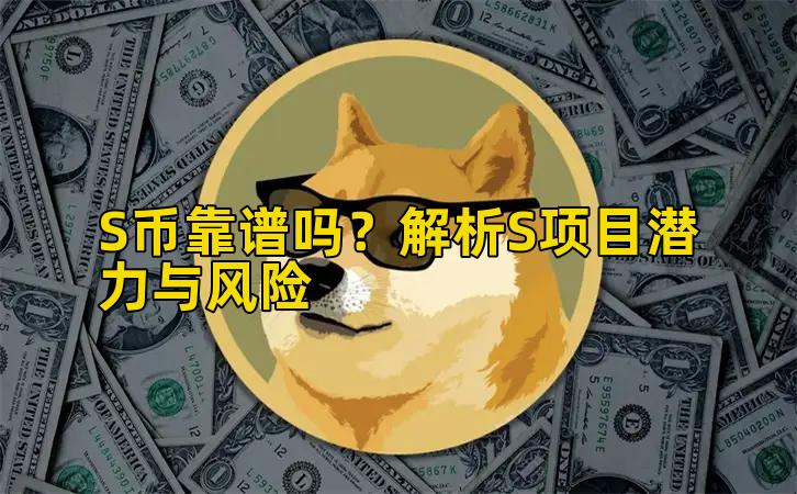 S币靠谱吗?解析S项目潜力与风险插图 S币靠谱吗?解析S项目潜力与风险插图