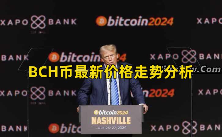 BCH币最新价格走势分析插图 BCH币最新价格走势分析插图