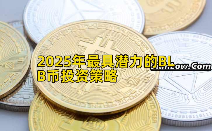 2025年最具潜力的BLB币投资策略插图 2025年最具潜力的BLB币投资策略插图