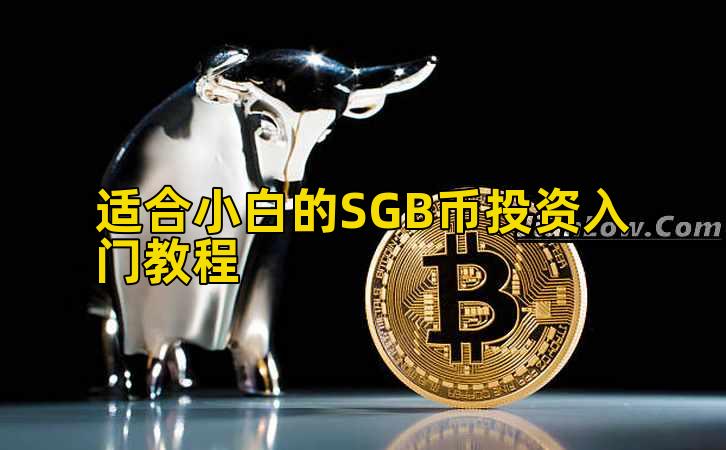 适合小白的SGB币投资入门教程插图 适合小白的SGB币投资入门教程插图
