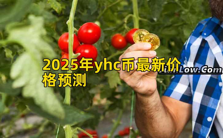 2025年yhc币最新价格预测插图 2025年yhc币最新价格预测插图