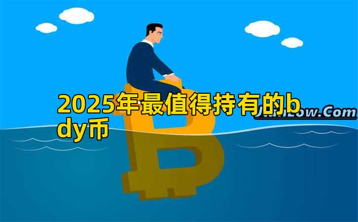 2025年最值得持有的bdy币插图