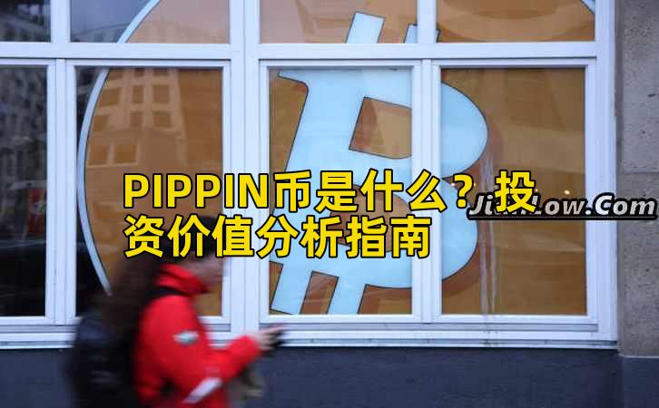 PIPPIN币是什么?投资价值分析指南插图 PIPPIN币是什么?投资价值分析指南插图