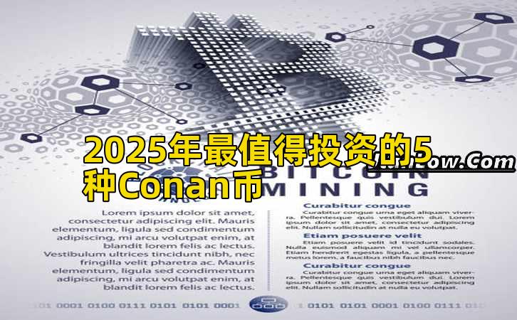 2025年最值得投资的5种Conan币插图 2025年最值得投资的5种Conan币插图