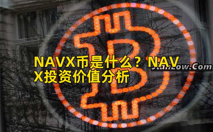 NAVX币是什么？NAVX投资价值分析插图