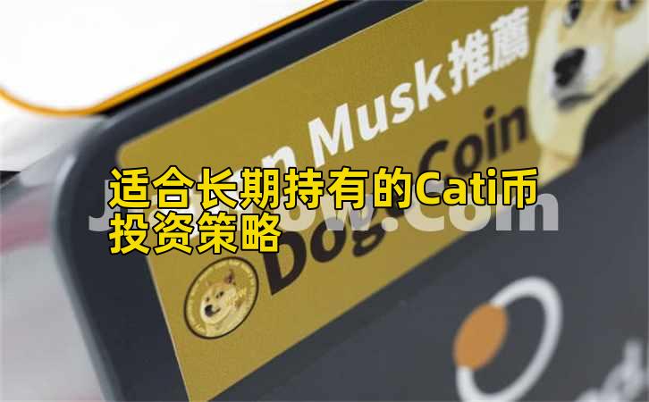 适合长期持有的Cati币投资策略插图