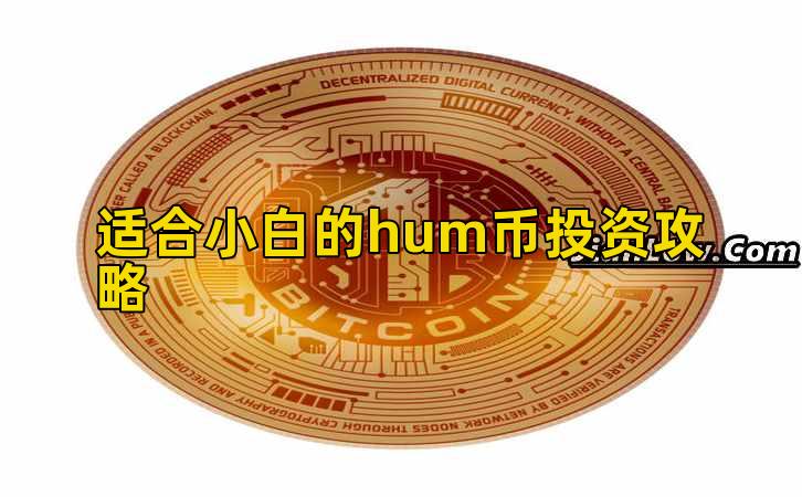 适合小白的hum币投资攻略插图 适合小白的hum币投资攻略插图