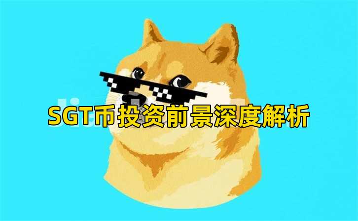 SGT币投资前景深度解析插图 SGT币投资前景深度解析插图