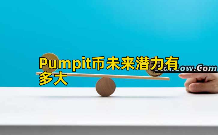 Pumpit币未来潜力有多大插图 Pumpit币未来潜力有多大插图