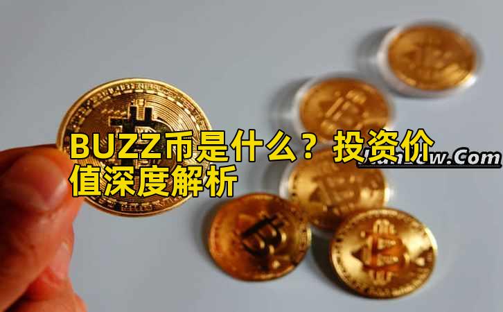 BUZZ币是什么?投资价值深度解析插图 BUZZ币是什么?投资价值深度解析插图