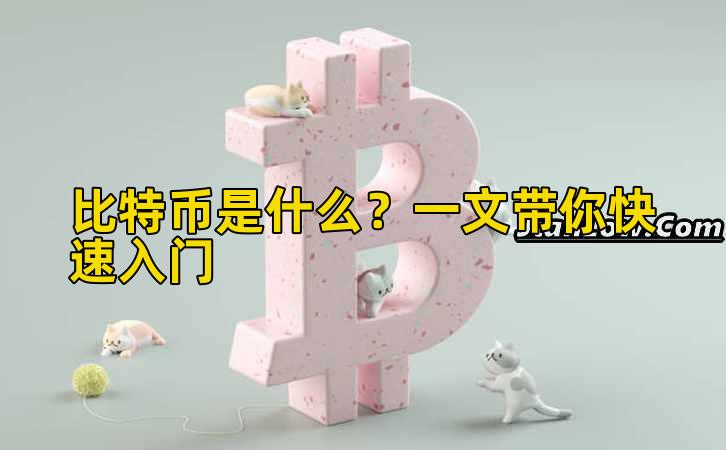 比特币是什么？一文带你快速入门插图