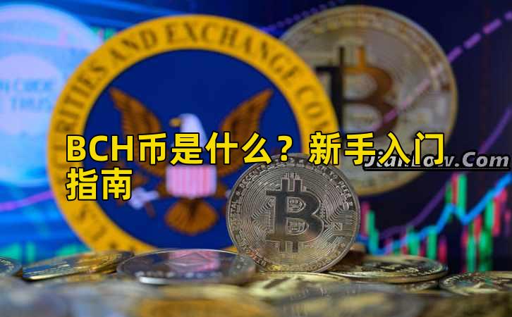 BCH币是什么？新手入门指南插图