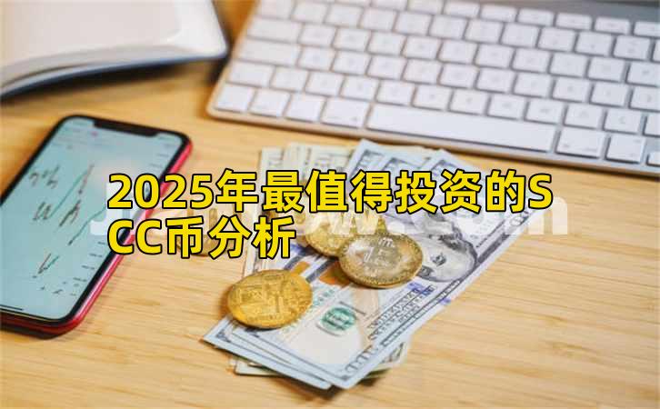 2025年最值得投资的SCC币分析插图