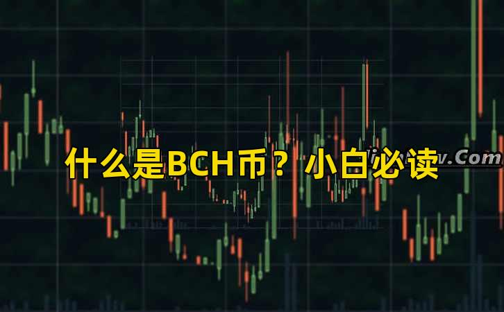 什么是BCH币？小白必读插图