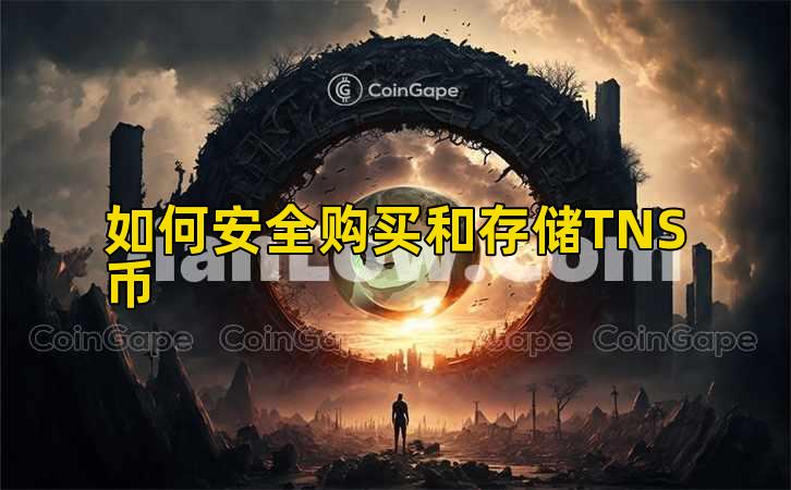 如何安全购买和存储TNS币插图