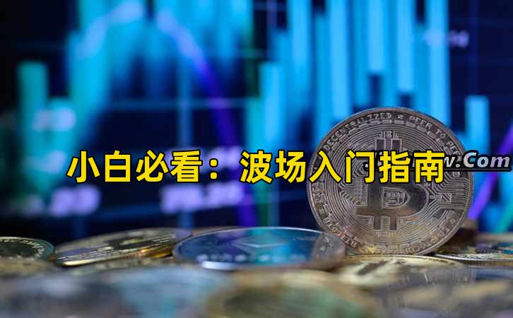 小白必看：波场入门指南插图