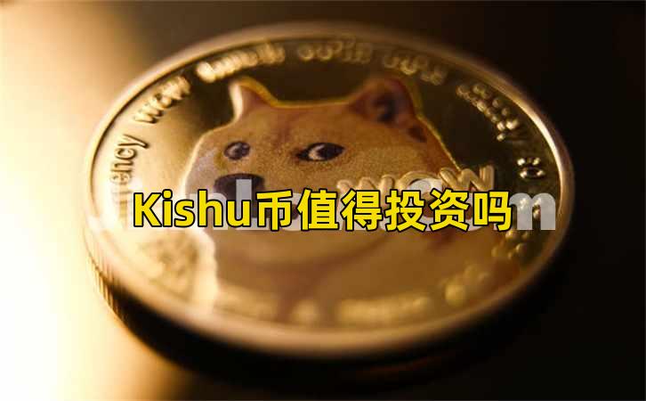Kishu币值得投资吗插图
