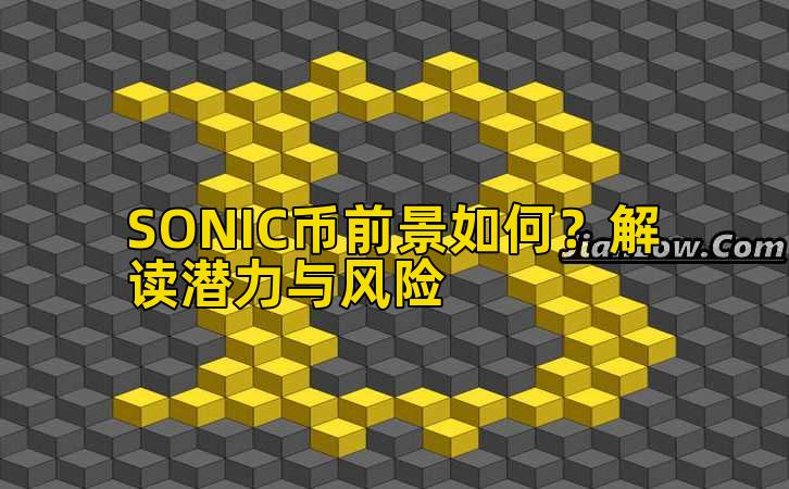 SONIC币前景如何?解读潜力与风险插图 SONIC币前景如何?解读潜力与风险插图