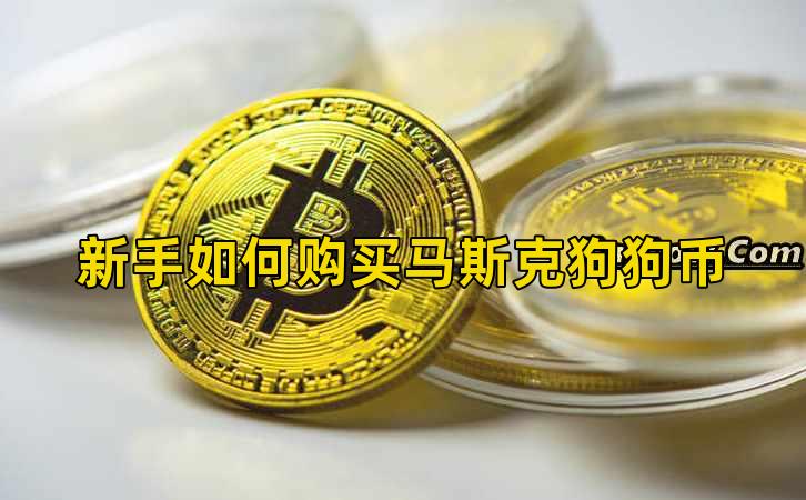 新手如何购买马斯克狗狗币插图 新手如何购买马斯克狗狗币插图