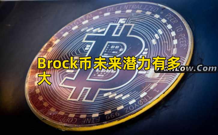 Brock币未来潜力有多大插图 Brock币未来潜力有多大插图