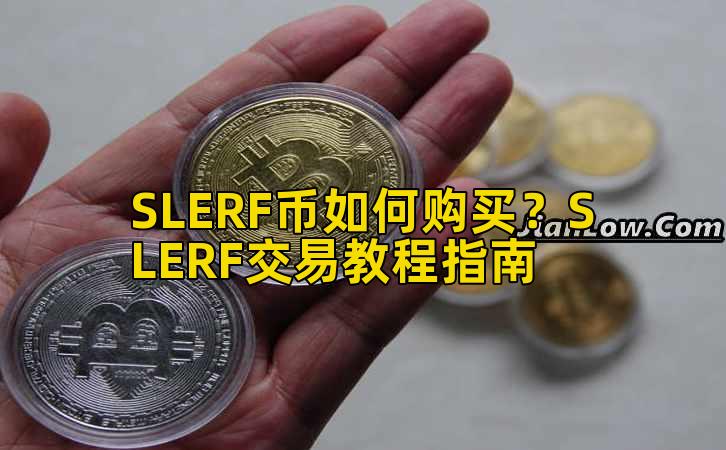 SLERF币如何购买?SLERF交易教程指南插图 SLERF币如何购买?SLERF交易教程指南插图