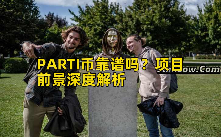 PARTI币靠谱吗？项目前景深度解析插图